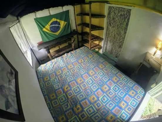 Bicho do mato. Araquari Exterior foto